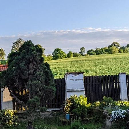 Chalupa U Rybnika Strehom Dolní Bousov Kültér fotó